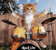 Drummer Cats A Magazine About Feline Drummers Tom Tom Magazine Cats Feline Cute Animals