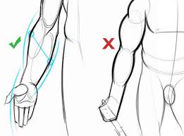 How To Draw Forearms Arm Anatomy For Artists Proko 762 x 1049 png 1617kb. how to draw forearms arm anatomy for