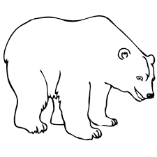 We're familiar with them, so we forget how truly unique looking they are. Get This Image Of Polar Bear Coloring Pages To Print For Kids Uan64