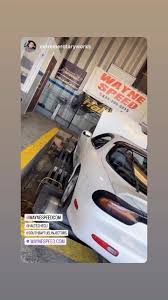 Wayne Speed (@waynespeedcom) • Instagram photos and videos