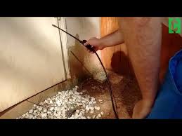 Doing it yourself is a great option if you know what questions to ask. Easy Diy Pest Control Youtube