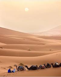 9,653 likes · 3 talking about this · 85,667 were here. Merzouga Sahara Desert Amazing Travel Destinations Desert Travel Travel Aesthetic
