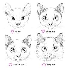 Black And White Cat Drawing Face Epingle Par Susan Carrell Sur How To Draw Cats Tutoriel Dessin Chat Dessin D Animal Dessin Chat