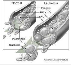 Sep 11, 2020 · kunci jawaban biologi erlangga kelas xi irnaningtyas bab 3. Kunci Jawaban Biologi Erlangga Kelas Xi Irnaningtyas Bab 5 Khoirul Huda Saba Blog Khoirul Huda Saba Blog