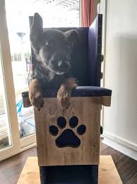 Another Donated Bailey Chair Amanda Bailey Chairs 4 Dogs Facebook