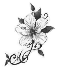 Orchidee Tekening Zwart Wit Google Zoeken Tatouage Hibiscus Dessin Hibiscus Tatouage