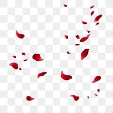 Floating Rose Petals Red Flying Floating Rose Petals Red Rose Petals Falling Petals Png Transparent Clipart Image And Psd File For Free Download Rose Petals Falling Rose Petals Drawing Red Rose