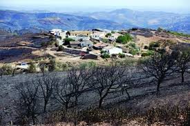 The algarve is the southernmost nuts ii region of continental portugal. 205 Pessoas Processam Edp Por Prejuizo Com Fogo No Algarve Portugal Correio Da Manha