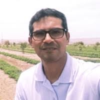 1200+ "Ormachea" profiles