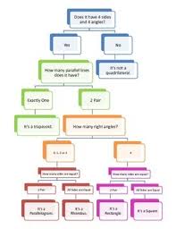 Quadrilateral Flow Chart Worksheets Teaching Resources Tpt