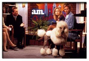 Best In Show : Production Notes