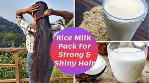 Nevertheless, we need more coconut milk studies to determine whether coconut milk slows the hair loss rate. Homemade Coconut Milk Rice Milk Hair Mask For Strong Healthy Hair