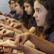 Dulcimer class creates bond between Pinellas seniors and Our Lady of  Lourdes students