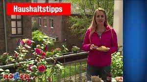 gartentipps roller mobelhaus