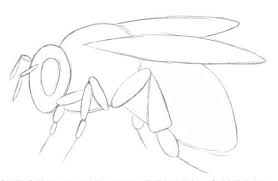 Der teufel ist nicht so schwarz, wie man ihn malt. Bienen Zeichnen Lernen Schritt Fur Schritt Anleitung Dekoking