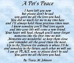 Photo Uploader For Pinterest Dog Death Pet Poems Animal Quotes