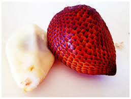 We did not find results for: Popular Tropical Fruits Of Malaysia Delishably