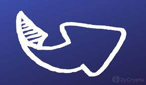 Tesla's (nasdaq:tsla) investment in bitcoin only lifted the cryptocurrency euphoria. Sec V Ripple How The Tables Are Turning Zycrypto