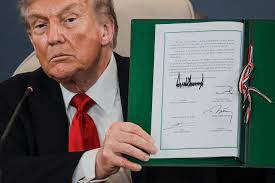 Eliot Blondet (@eliotblondet) • Instagram photos and videos