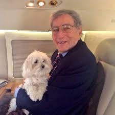The happy puppy site is a participant in the amazon services llc associates program, an affiliate advertising program designed to provide a means for sites to earn advertising. Tony Bennett With His Maltese Dog Happy On A Plane Traveling Together On His Performance Tour Maltese Dogs Maltese Puppy Maltese