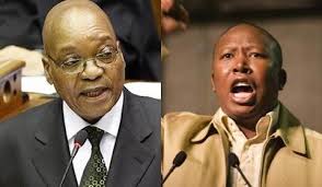 Julius malema made it clear that zuma must face his day in court, during an eventful interview with energy fm on monday. Powerful Malema Now Has Zuma In His Pocket Nehanda Radio