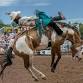 Payson Pro Rodeo Committee Meeting event image