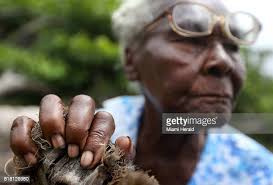 877 Grand Anse Stock Photos, High-Res Pictures, and Images