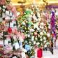 Tree Festival event image