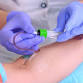 4 Week Phlebotomy Course: North Haven, CT event in North Haven, CT