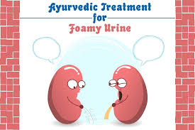 Visualizza altre idee su bamboline, gomma, modelli di scarpe bambola. Prevent Protein In The Urine With Ayurvedic Treatment For Foamy Urine