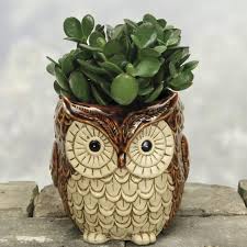 Aug 29, 2019 · fake owls might work if you need to keep birds or animals away from somewhere for just a day or two. How To Add Owls To Your Home Decor 15 Ideas Shelterness