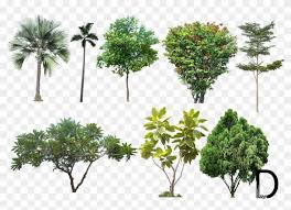 Find Hd Landscape Png Photos Trees For Photoshop High Resolution Transparent Png To Search And Download More Free Transparen Png Photo Photo Tree Photoshop