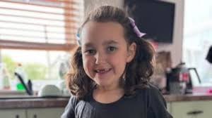 Legion d'Honneur awarded to WW2 veteran Robert Rigler