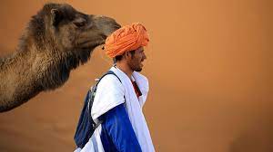 Enjoy guided tour of ait benhaddou, and visit marrakech. Marrakech To Fez Desert Camel Tour Morocco Day Tours