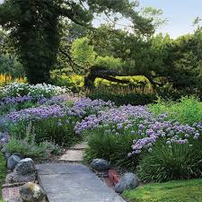 Give Your Garden Mass Appeal Finegardening Fine Gardening Magazine Fine Gardening Plants