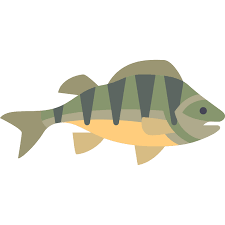 Download Perch Fish Vector Svg Icon Svg Repo