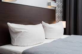 Munich is a great place to get outside and explore with your pets in tow so don't leave your furry friends behind. Hotel Munich Inn Design Hotel Munich Updated 2021 Prices