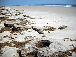 Washington Oaks State Park Formal Gardens Plus Amazing Beach