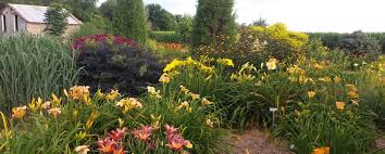 We did not find results for: Daylilies Harmony Nursery