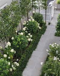 For instance, nearly every front yard benefits from utilizing a mixture of evergreens and colorful seasonal flowers. Ornamental Pleached Pears White Hydrangea Limelight Tinakori Hedge Garden Design Nur Courtyard Gardens Design Front Garden Design Small Courtyard Gardens