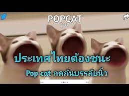 ข้อตกลงและเงื่อนไขการใช้บริการ | คู่มือการ reset password | ความเป็นส่วนตัว | ติดต่อเรา best viewed at 1024 x 768 screen resolution. 6k2zlfhdf47wlm