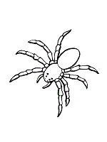 Print and color halloween pdf coloring books from primarygames. Spiders Arachnids Coloring Pages And Printable Activities