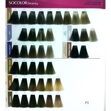 29 Abiding Matrix Socolor Swatches