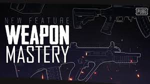 Pubg New Feature Weapon Mastery Youtube