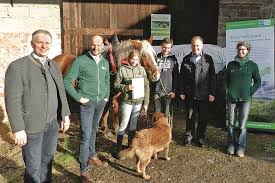 Eberbach: Leon Scholl ist Deutschlands einziger hauptberuflicher Kuhhirte