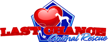 Our small network of foster homes are in southern maryland. Cat And Dog Rescue Serving D C Maryland And Virginia Last Chance Animal Rescue