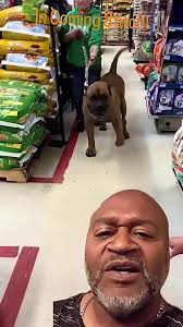 Dog with Bangs Looks Like Cindy Brady