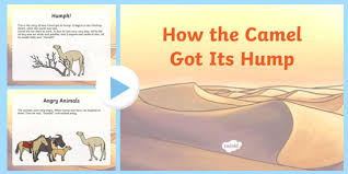 This traditional nursery rhyme tells the story about a camel named alice who happens to have many humps! How The Camel Got Its Hump Story Powerpoint Teacher Made