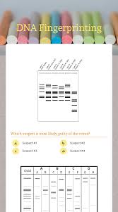 In this hypothetical paternity case, four autoradiographs show dna fingerprints taken from three individuals: Dna Fingerprinting Interactive Worksheet By Melanie Schoonmaker Wizer Me