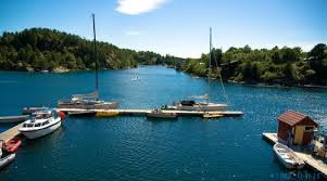 40,020 likes · 444 talking about this · 165 were here. Wildsea Marine Ecotourism Activities In Sorlandet Norway